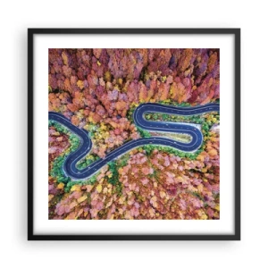 Poster in black frame - Winding Path through a Forest - 50x50 cm