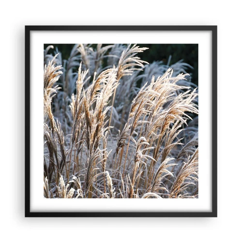 Poster in black frame - Decorated with Frost - 50x50 cm