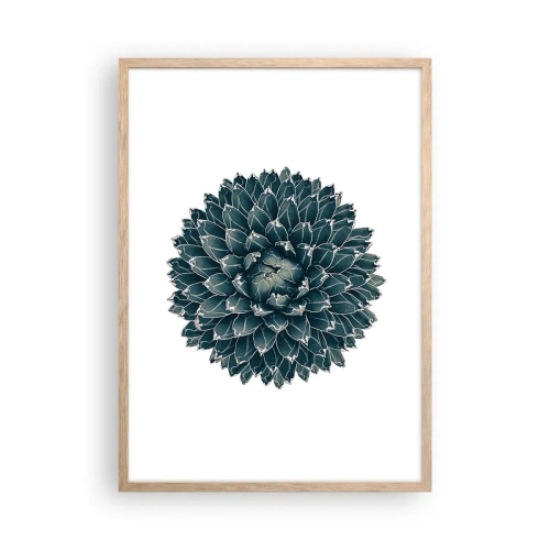 Poster in light oak frame - Star of the Desert - 50x70 cm
