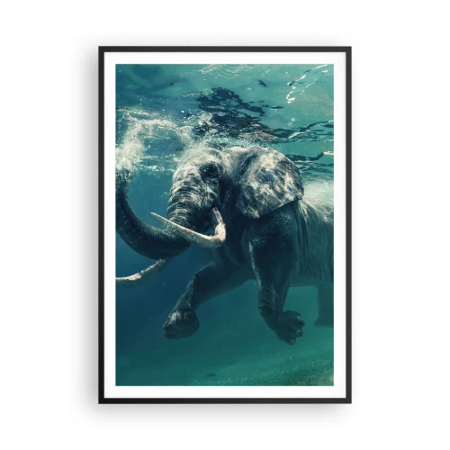 Poster in black frame - Everyone Likes to Swim - 70x100 cm