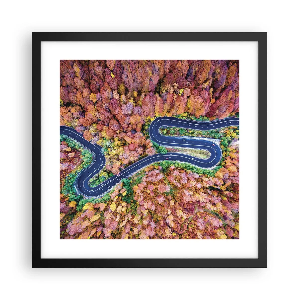 Poster in black frame - Winding Path through a Forest - 40x40 cm