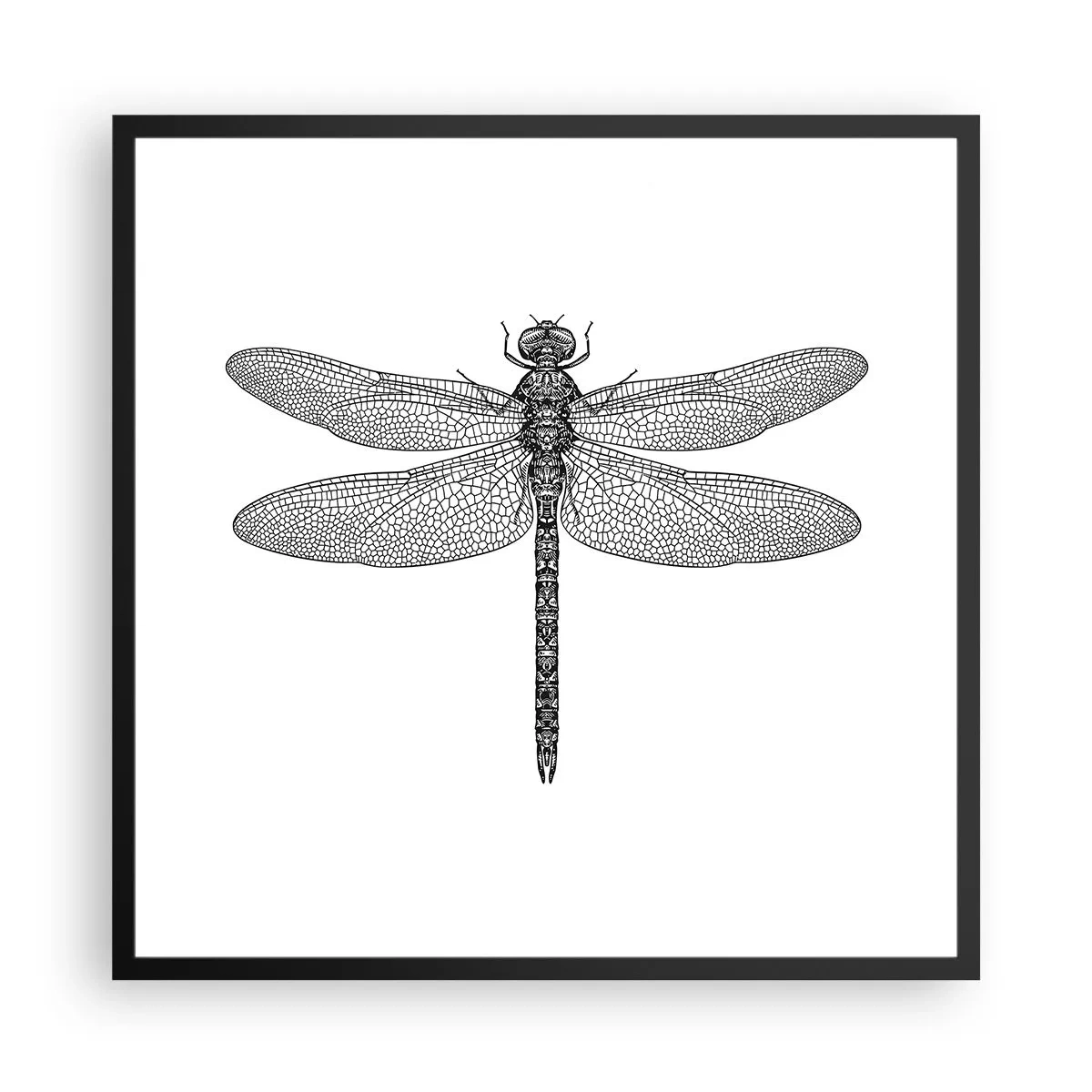 Poster in black frame - Precision of Nature - 60x60 cm
