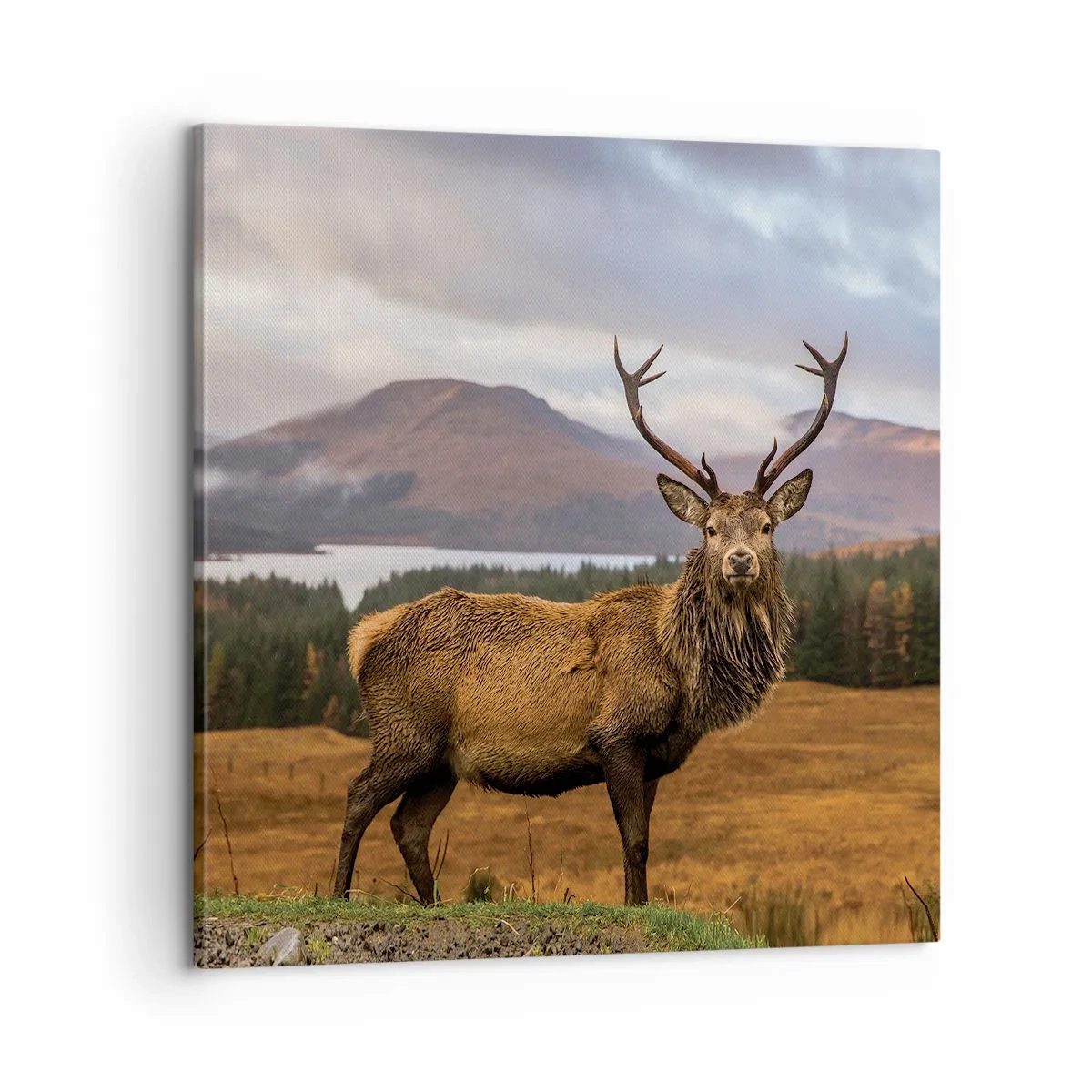 Canvas picture - Majesty of Nature - 60x60 cm