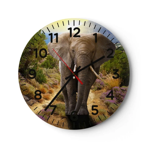 Wall clock - Clock on glass - This is What Eden Looked Like - 40x40 cm
