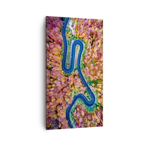 Canvas picture - Winding Path through a Forest - 45x80 cm