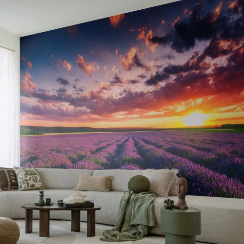 Photo Wallpaper Standard Eco - Lavender World - Landscape, Lavender Field, Lavender - 400x280 cm