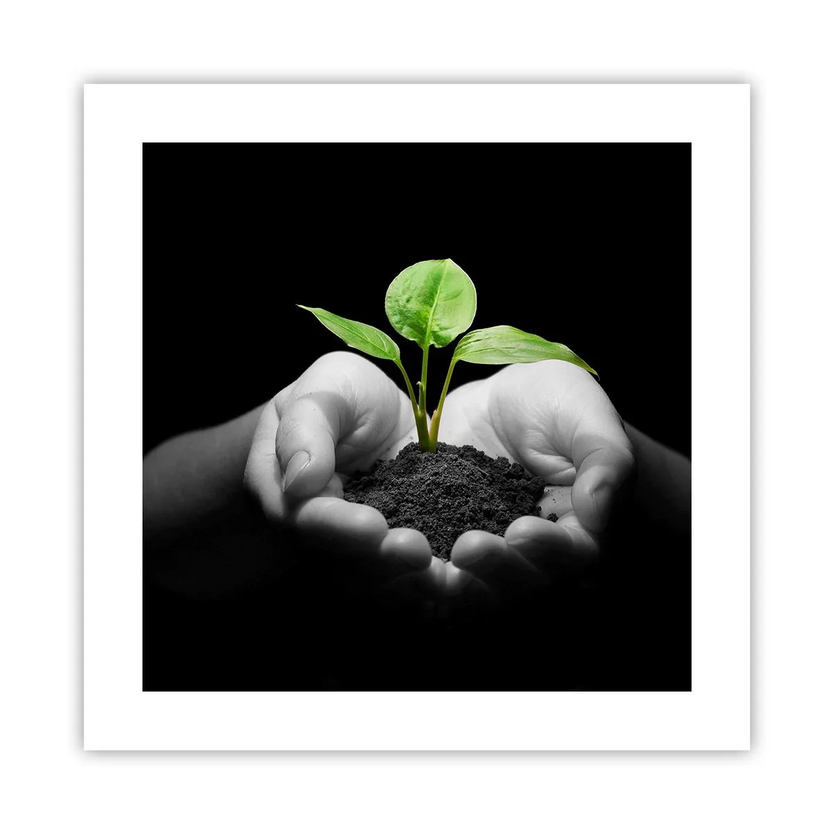 Poster - I Love Nature, I Protect It - 40x40 cm