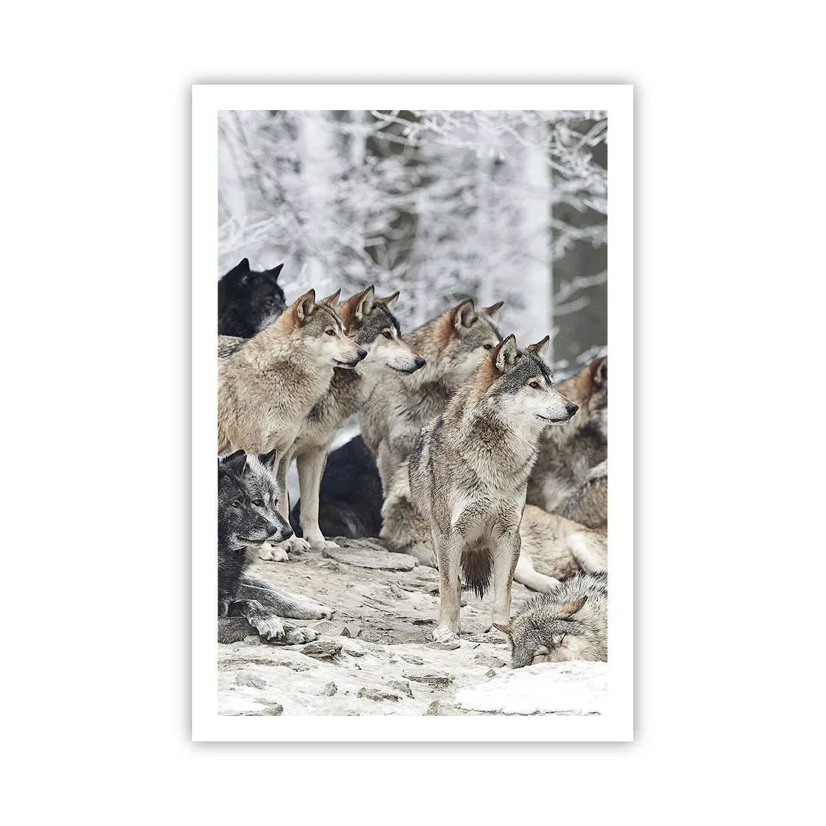 Poster - Family and Friends - 61x91 cm