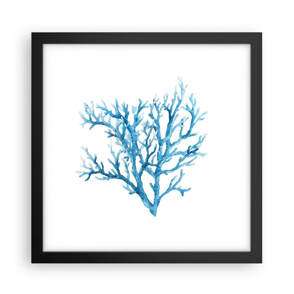 Poster in black frame - Sea Filigree - 30x30 cm