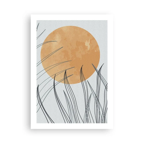 Poster - Always Towards the Sun - 50x70 cm