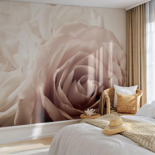 Self-Adhesive Photo Wallpaper Deluxe Sticker - In the Heart of a Rose - Roses, Flowers, Romantic - 300x210 cm