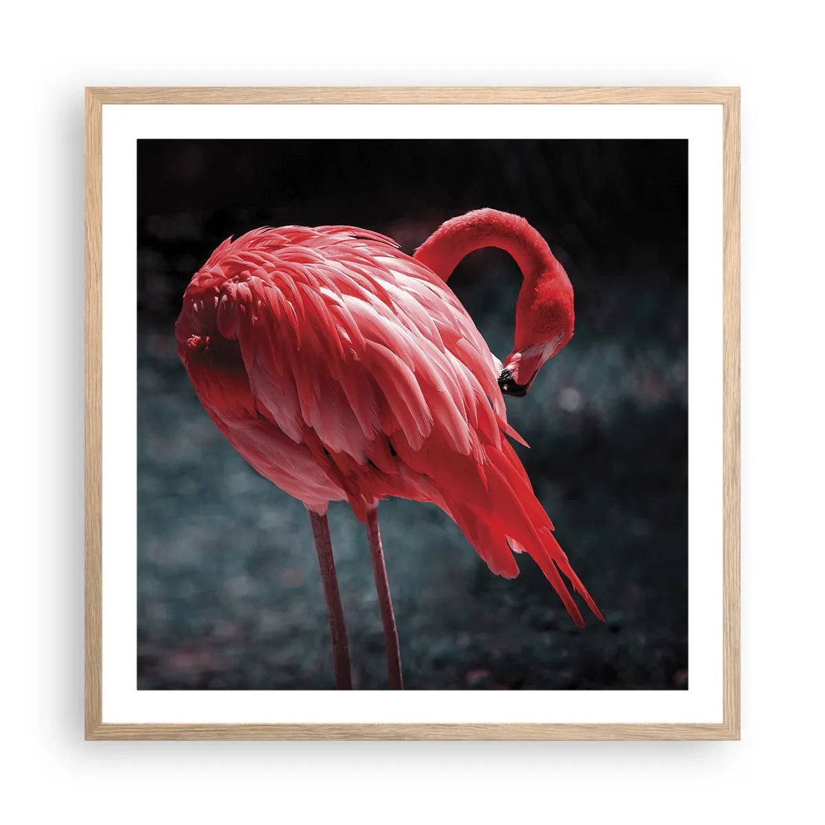 Poster in light oak frame - Crimson Poem of Nature - 60x60 cm