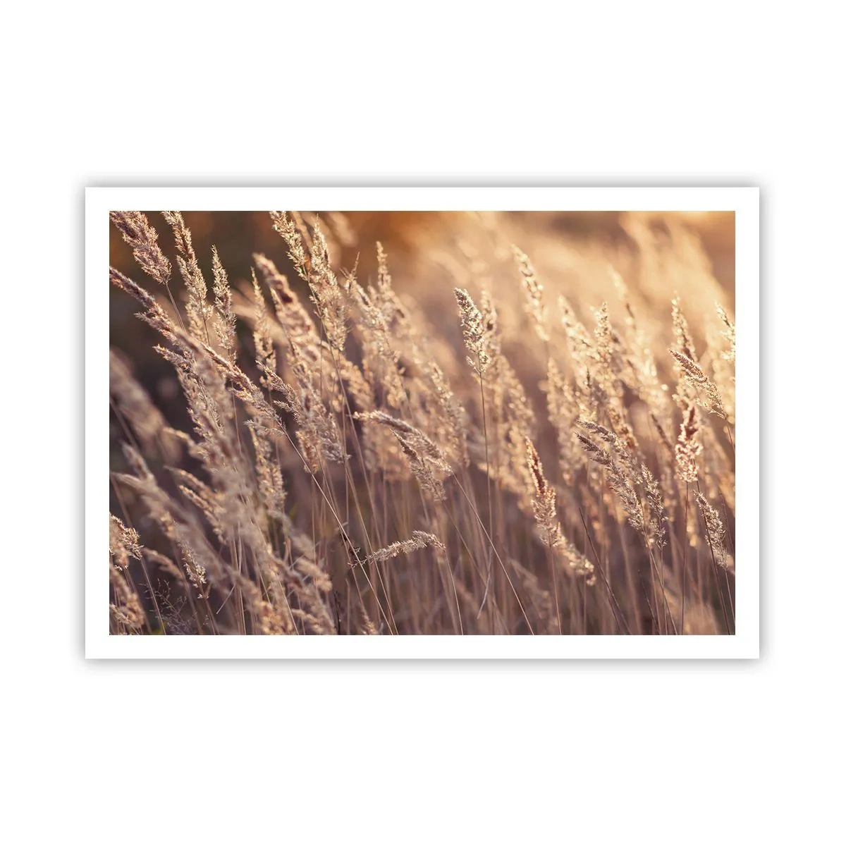 Poster - Ready to Welcome Autumn - 100x70 cm