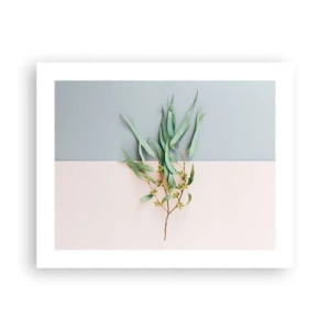 Poster - Pastel Subtlety - 50x40 cm