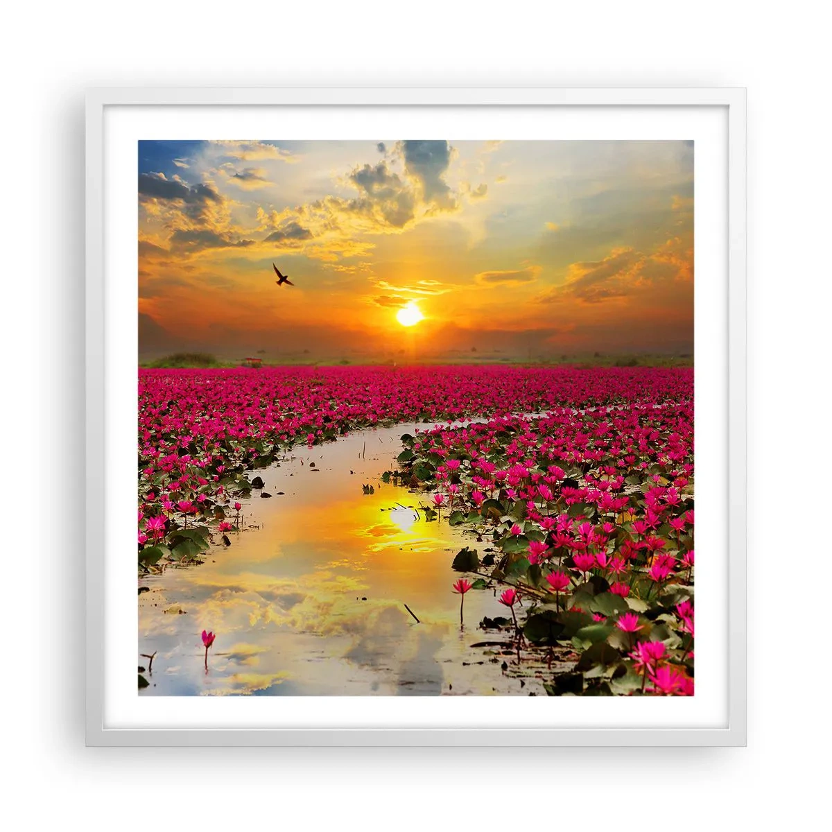 Poster in white frmae - Secret Life of a Lake - 60x60 cm