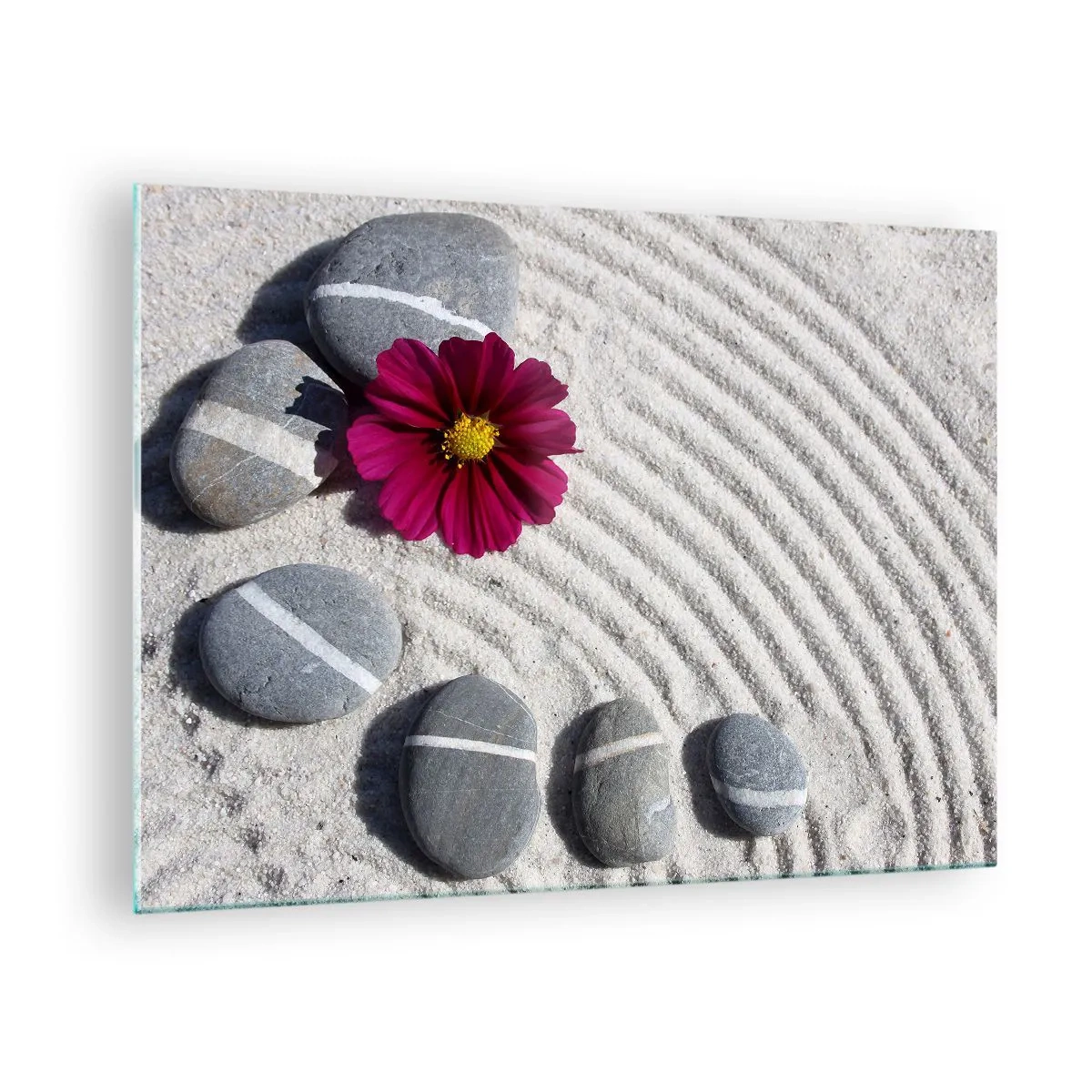 Glass picture - Stones with white stripes and a purple flower on the sand in a zen style - 70x50cm - Energy and Tranquillity of the Magic Circle of Nature - Modern wall decoration for the living room and bedroom ARTTOR