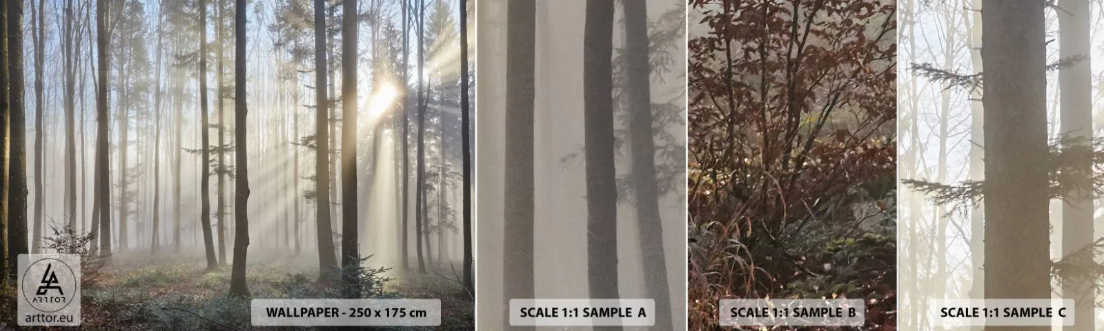 Photo Wallpaper Sample Self-Adhesive Deluxe Sticker - Fog Has Woken up Too - Landscape, Forest, Fog - 100x30 cm