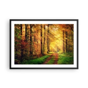 Poster in black frame - Forest Golden silence - 70x50 cm