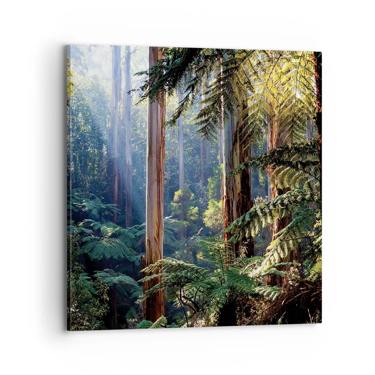 Canvas picture - Tale of a Forest - 70x70 cm
