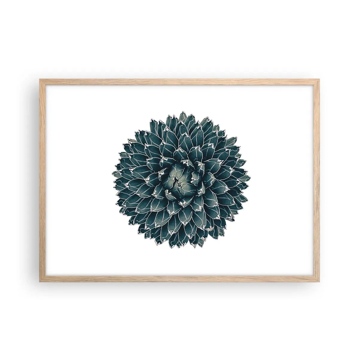 Poster in light oak frame - Star of the Desert - 70x50 cm