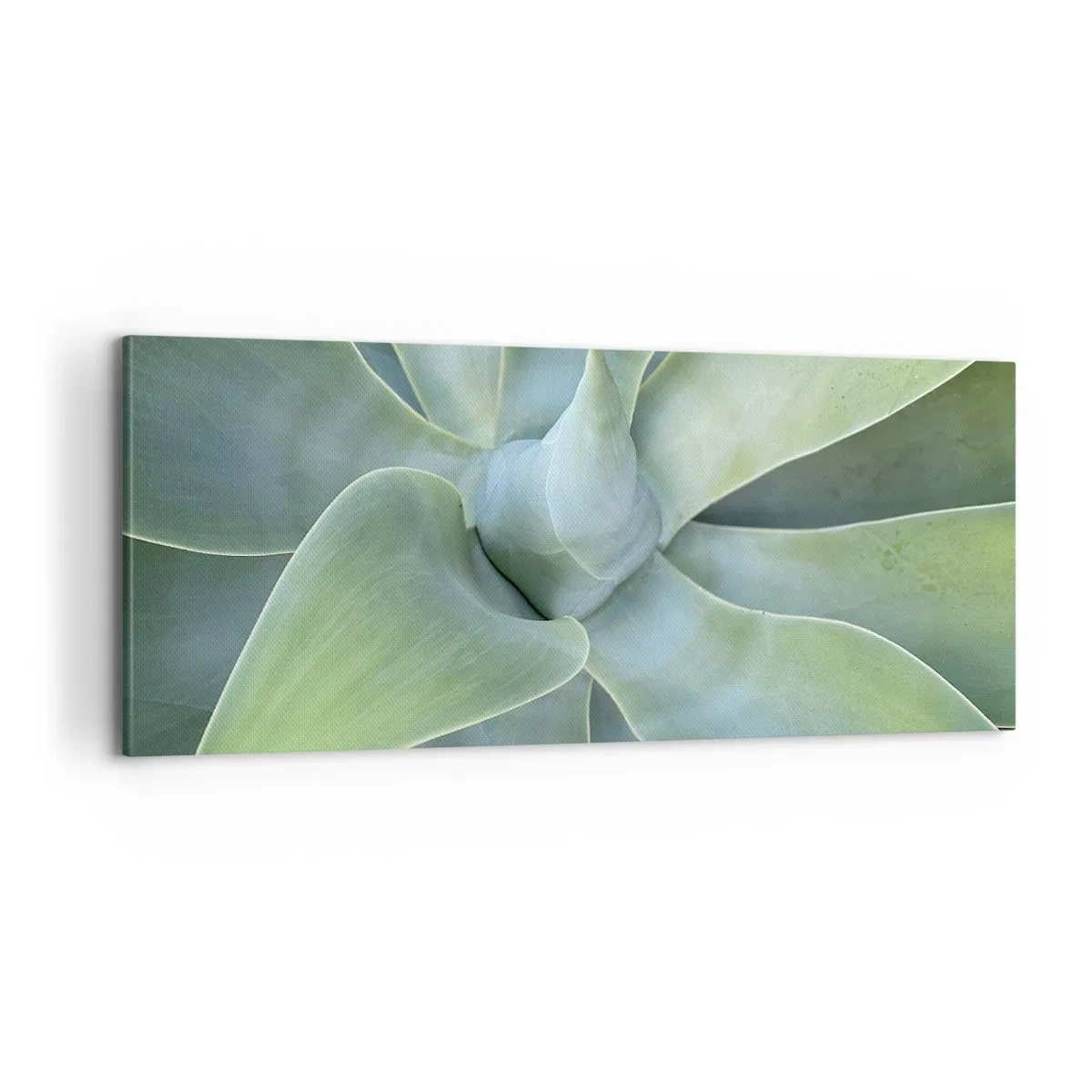 Canvas picture - Birth of Green - 100x40 cm