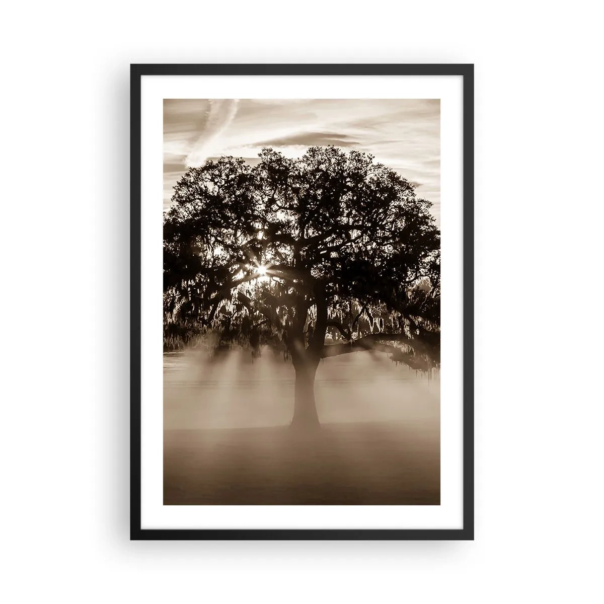 Poster in black frame - Tree in the fog with rays of light - 50x70cm - Tree of Good Knowledge - Modern wall decoration for the living room and bedroom ARTTOR