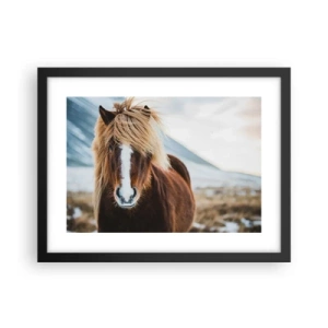 Poster in black frame - Can You Feel the Freedom? - 40x30 cm