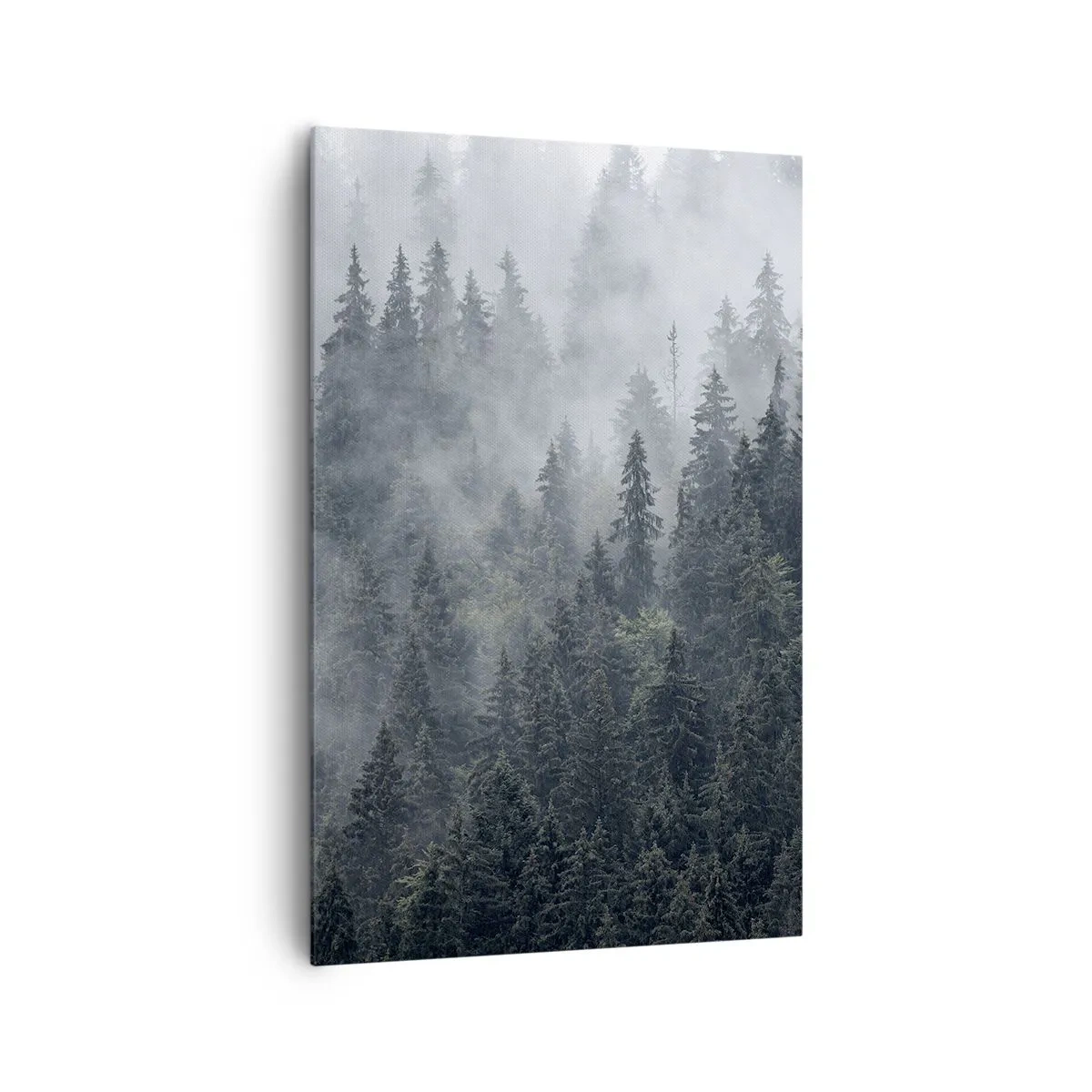 Canvas picture - Forest World - 80x120 cm