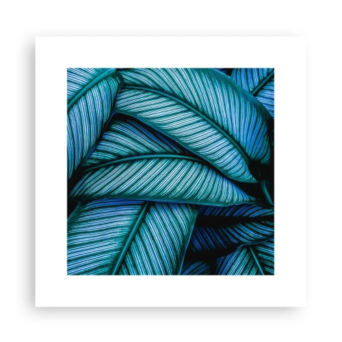 Poster - Lifelines - 30x30 cm