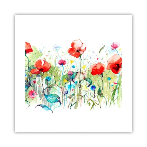 Poster - Meadow in May - 40x40 cm