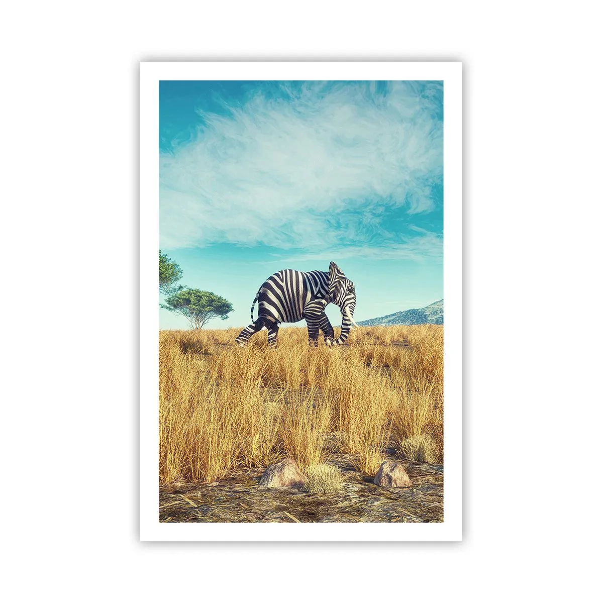 Poster - Greyness Is Not In Fashion - 61x91 cm