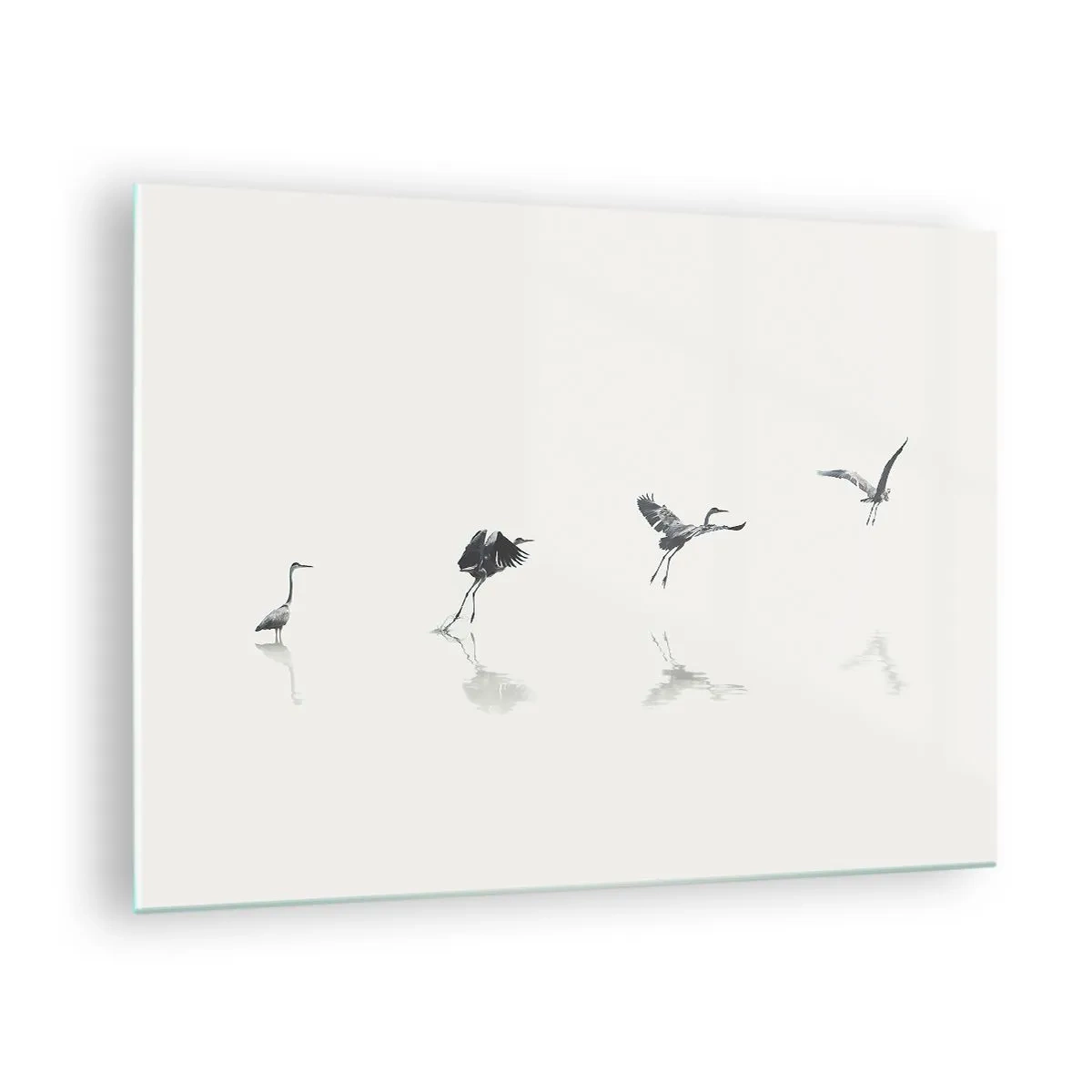 Glass picture - Silhouettes of four birds moving over the water - 70x50cm - Four Simple Steps - Modern wall decoration for the living room and bedroom ARTTOR