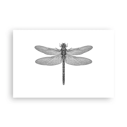 Poster - Precision of Nature - 91x61 cm