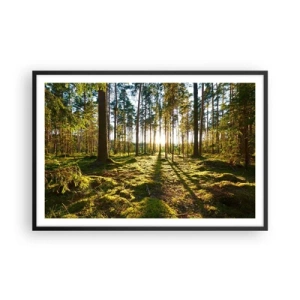 Poster in black frame - Deep in the Forest - 91x61 cm