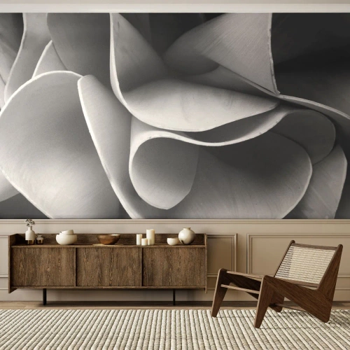 Photo Wallpaper Premium Canvas - It Is Happening in Space - Abstraction, Piece, Black and white - 150x105 cm