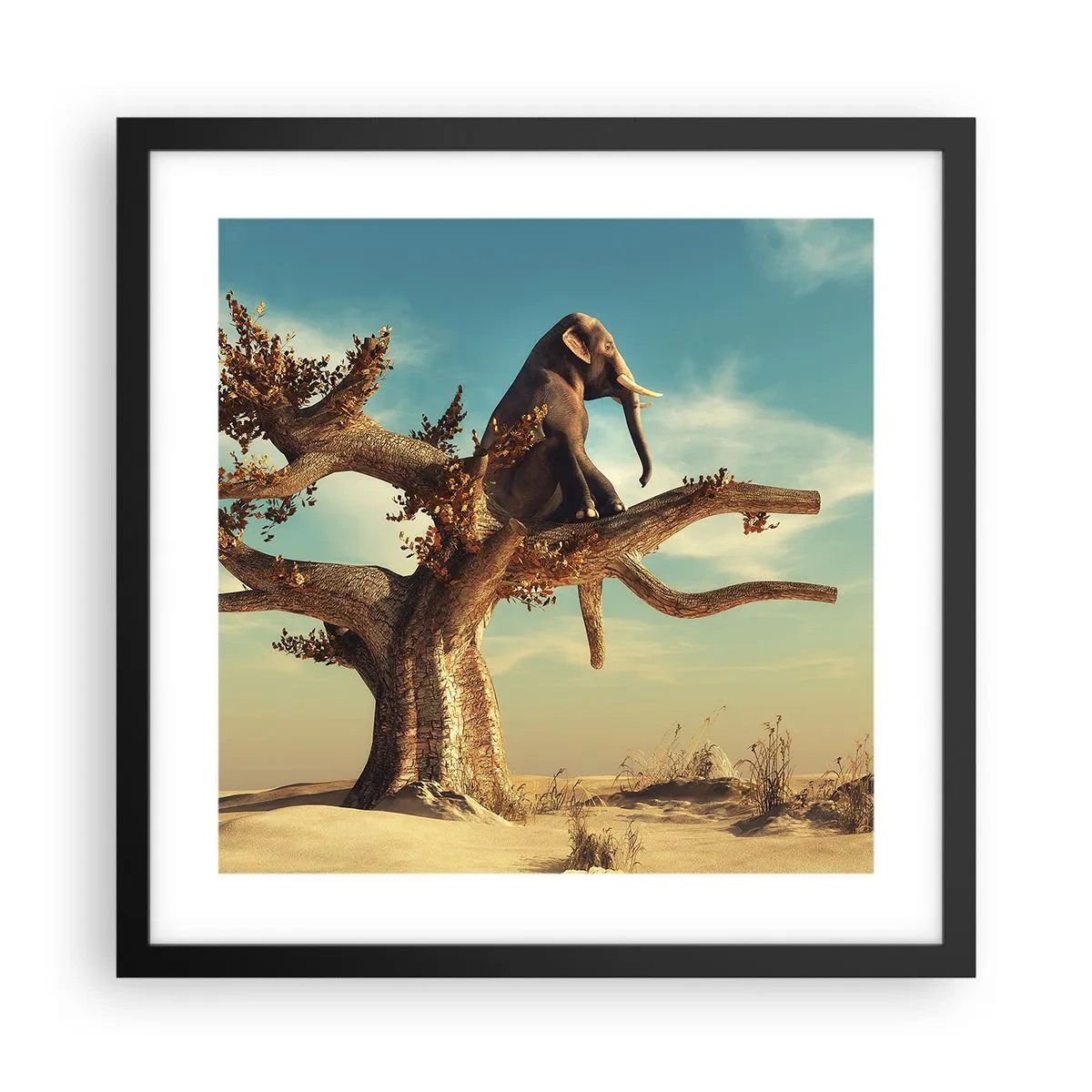 Poster in black frame - New Point of View - 40x40 cm