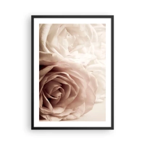 Poster in black frame - Delicate cream roses close-up - 50x70cm - In the Heart of a Rose - Modern wall decoration for the living room and bedroom ARTTOR