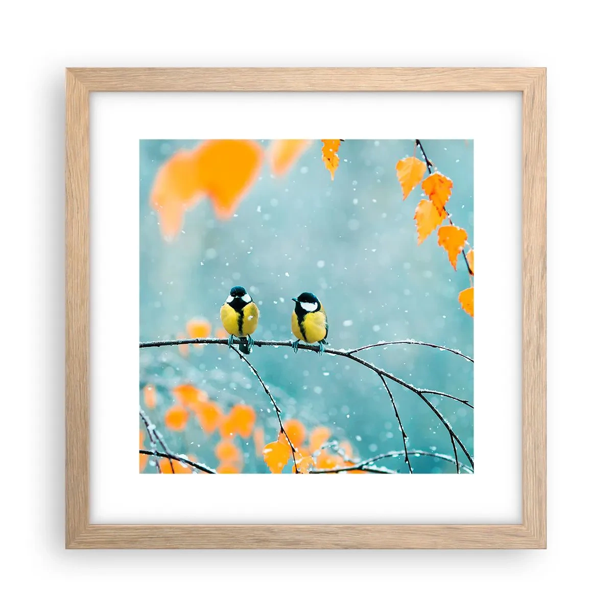 Poster in light oak frame - Birdy Gossip - 30x30 cm