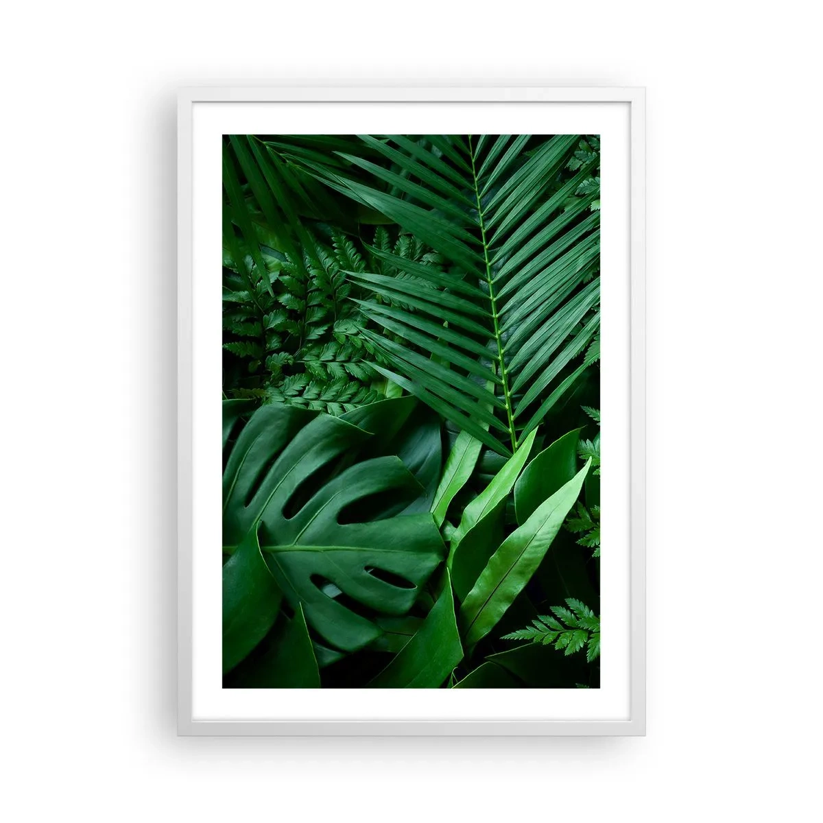 Poster in white frmae - In a Green Hug - 50x70 cm