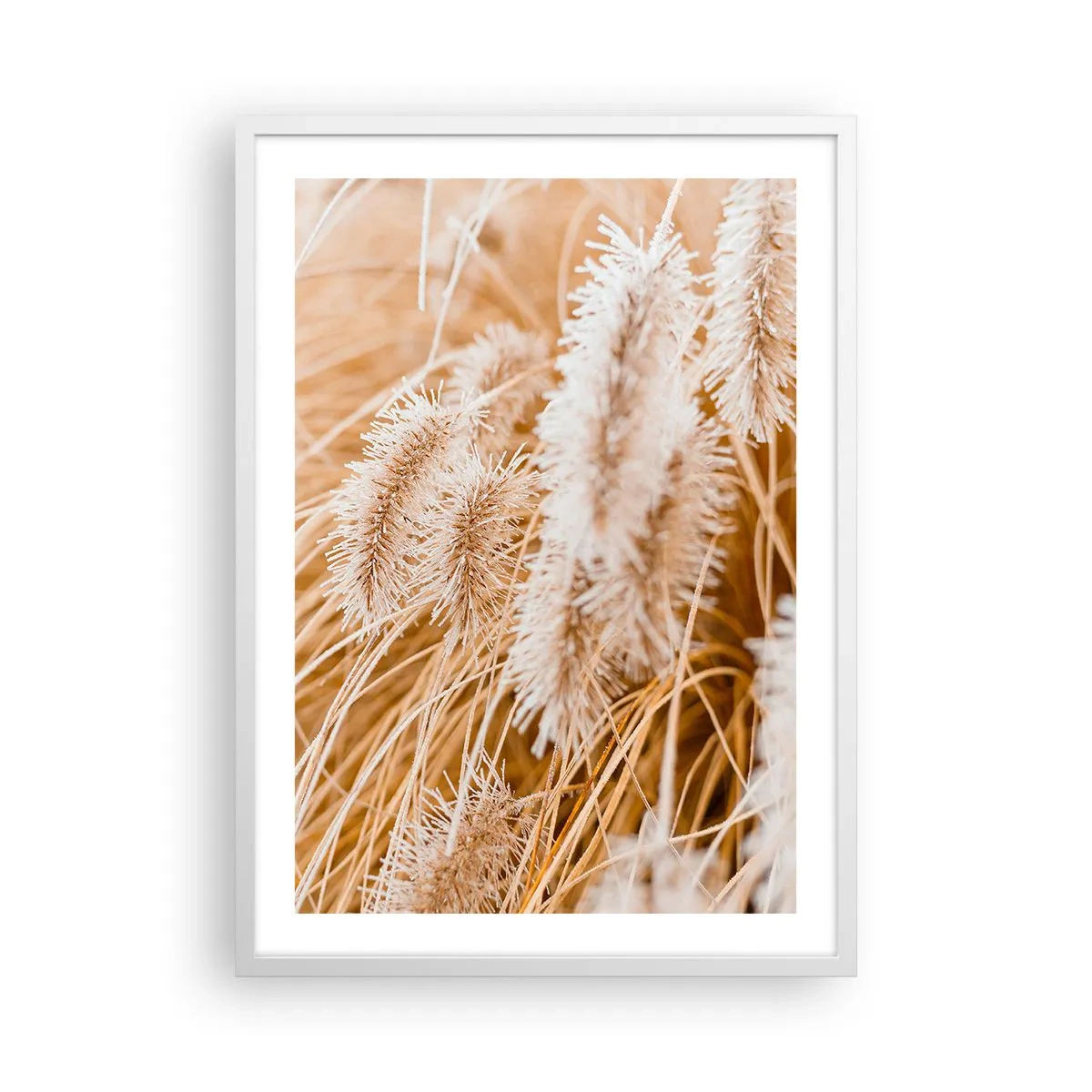 Poster in white frmae - Golden Rustling of Grass - 50x70 cm