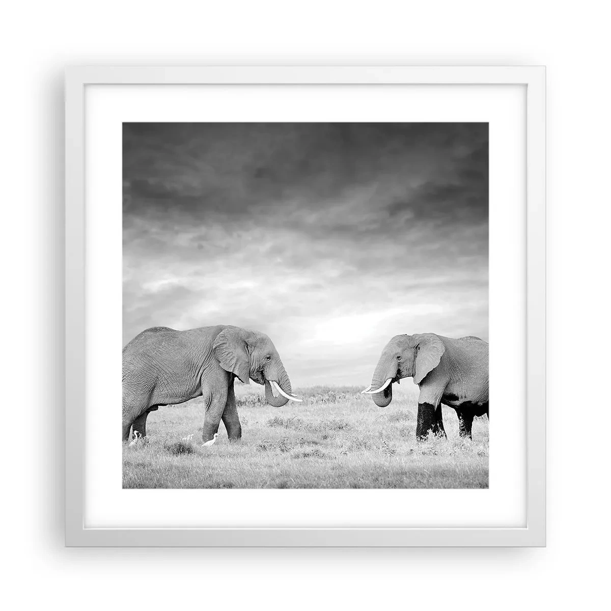 Poster in white frmae - Grey Is Beautiful - 40x40 cm