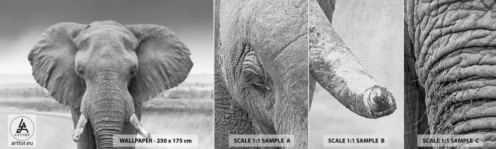 Photo Wallpaper Sample Premium Canvas - Welcome to My World - Elephant, Africa, Animals - 100x30 cm