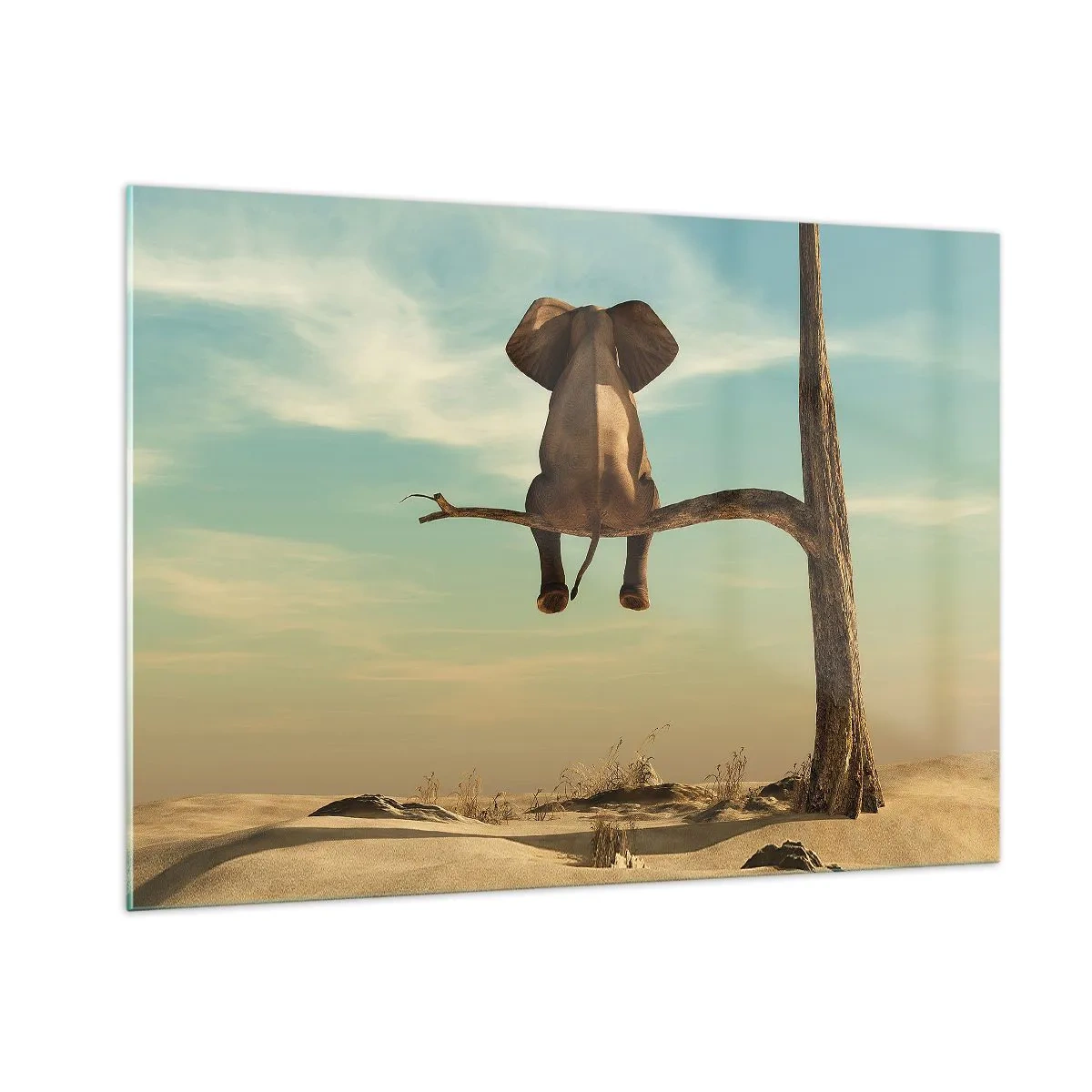 Glass picture - New Point of View - 100x70 cm