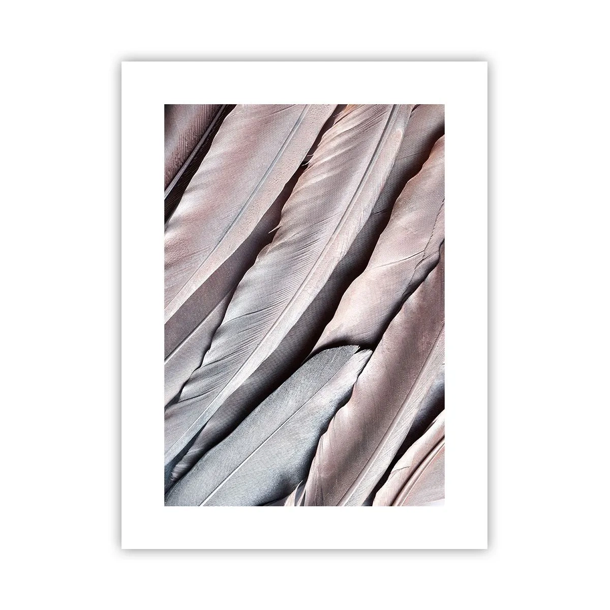 Poster - In Pink Silverness - 30x40 cm