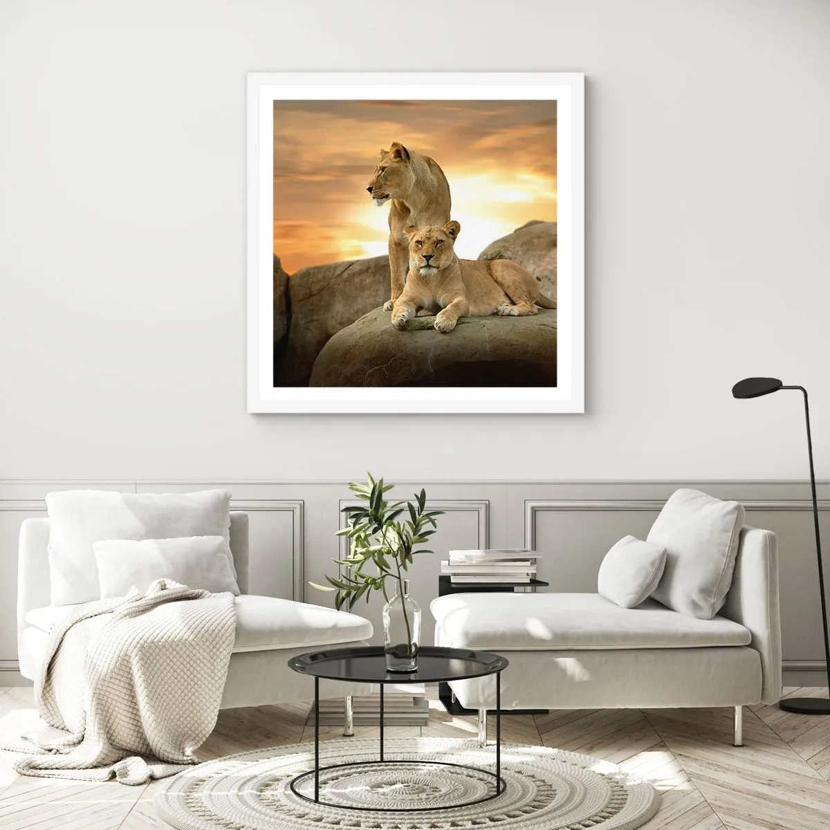 Poster in white frmae - Royal Majesty - 40x40 cm