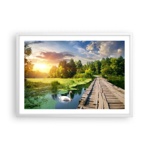 Poster in white frmae - Summer Everywhere - 70x50 cm