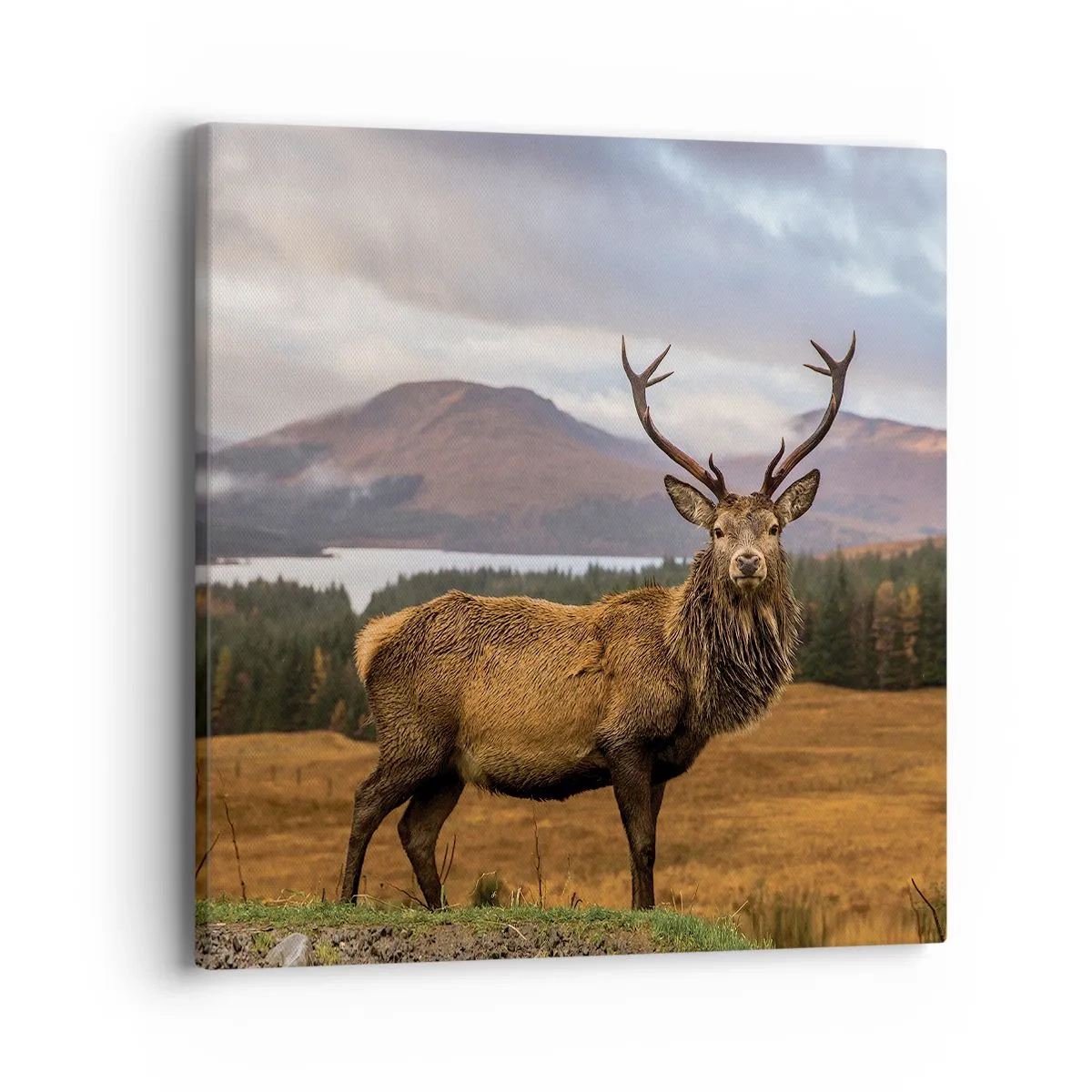 Canvas picture - Majesty of Nature - 40x40 cm