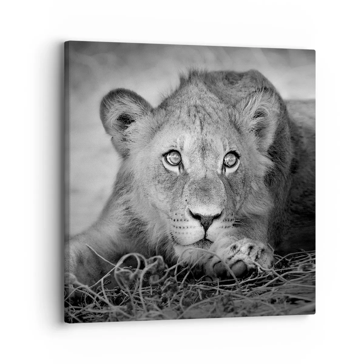 Canvas picture - Royal Puppy - 30x30 cm