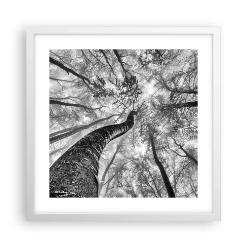 Poster in white frmae - Race for the Light - 40x40 cm