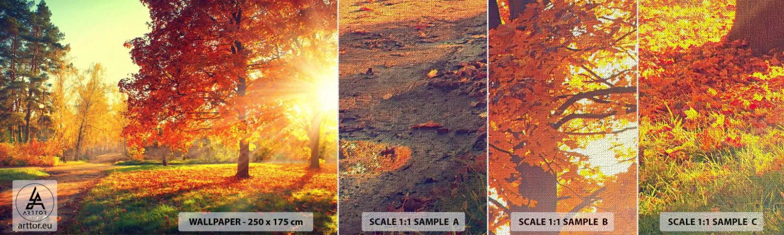 Photo Wallpaper Sample Premium Canvas - Ginger Is Beautiful - Landscape, Park, Nature - 100x30 cm